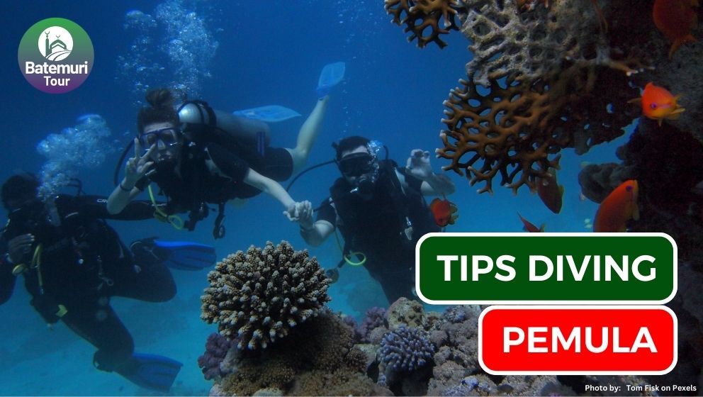 7 Tips Diving Aman bagi Pemula yang Wajib Kamu Coba